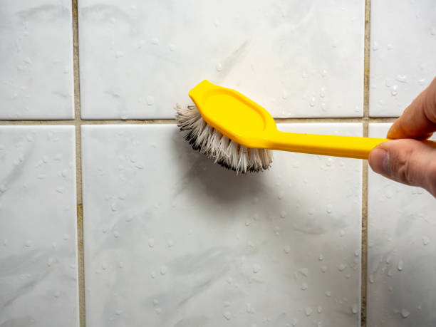 Professional Mold Remediation in Pleasanton, TX