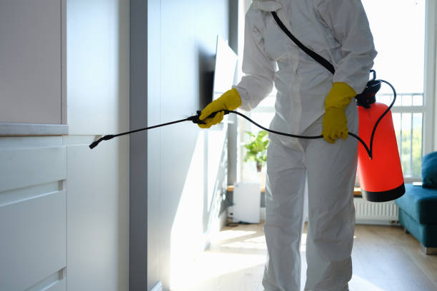 Best Commercial Mold Remediation in Pleasanton, TX
