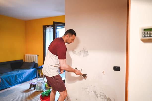 Best DIY Mold Remediation Support Services in Pleasanton, TX